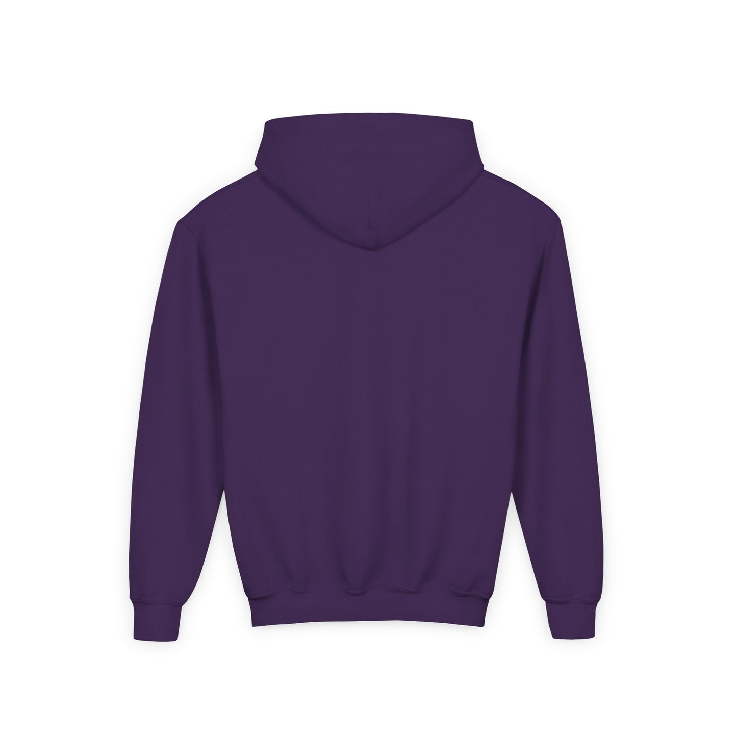 Youth Hoodie,