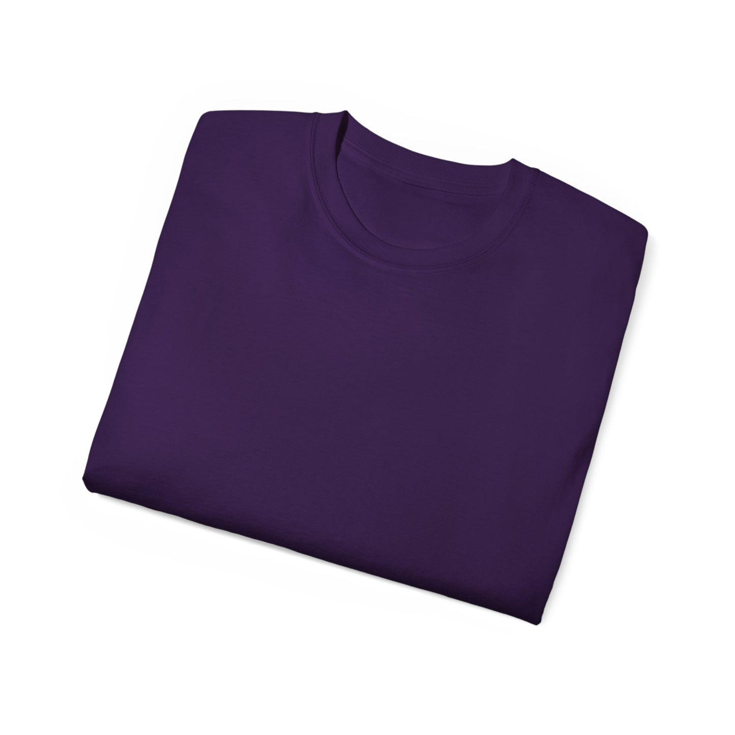 Howells Iowa Unisex Tee, Logo on Back