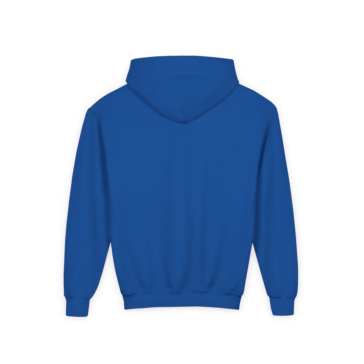 Youth Hoodie,
