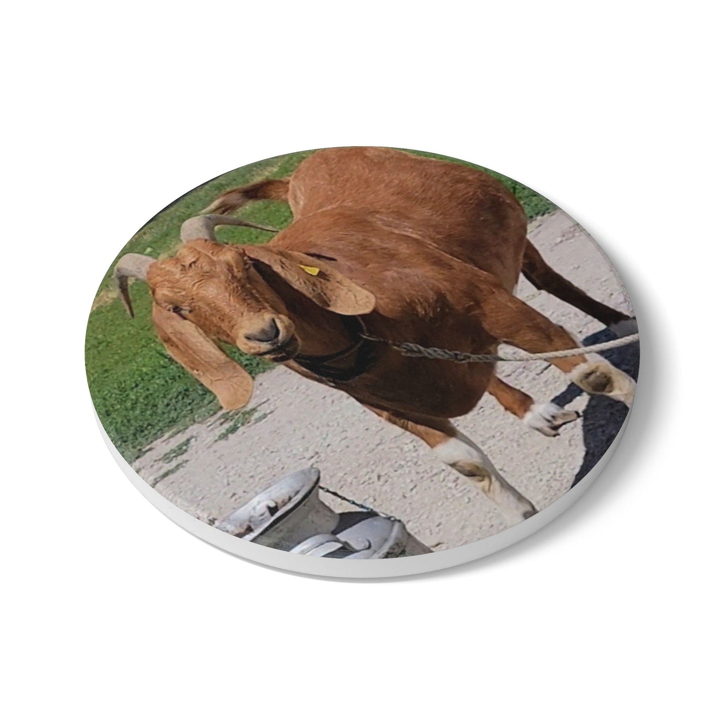 Rustic Goat Ceramic Coaster - Farmhouse Decor, Cute Kitchen, Animal Lover Gift, Unique Drinkware, Home Bar Accessory, Country Theme