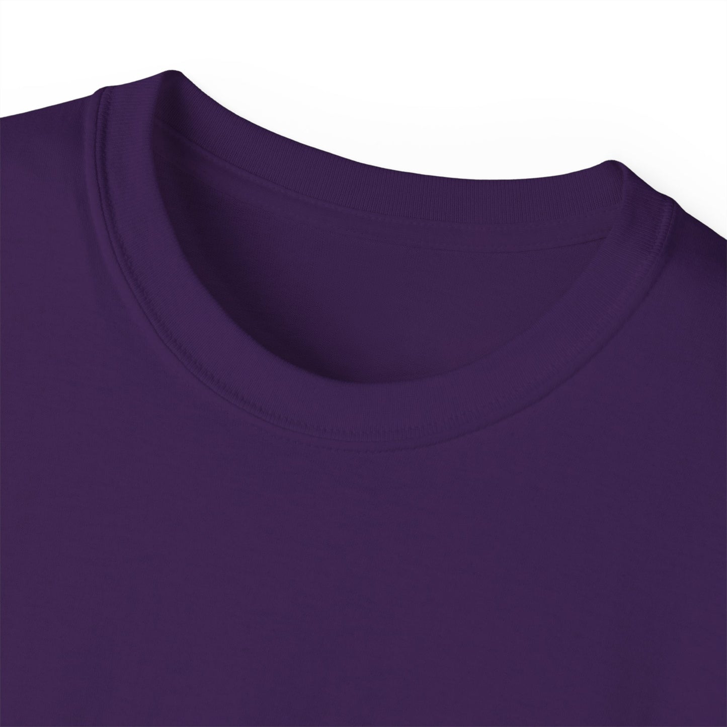 Howells Iowa Unisex Tee, Logo on Back